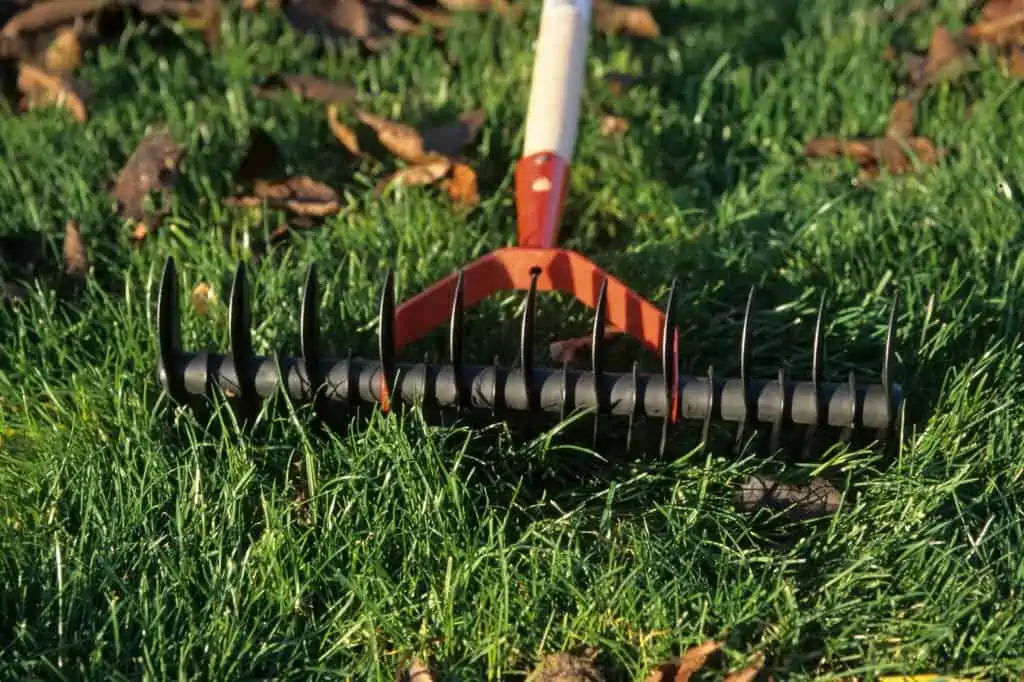 The Complete Guide to Lawn Aeration Services in Austin, Texas