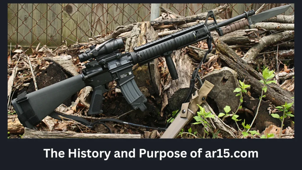 The History and Purpose of ar15.com