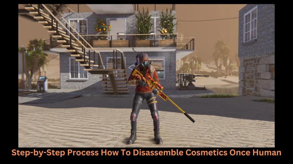 Step-by-Step Process How To Disassemble Cosmetics Once Human