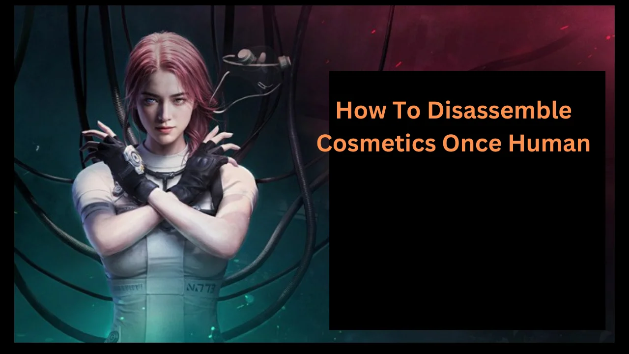 how to disassemble cosmetics once human