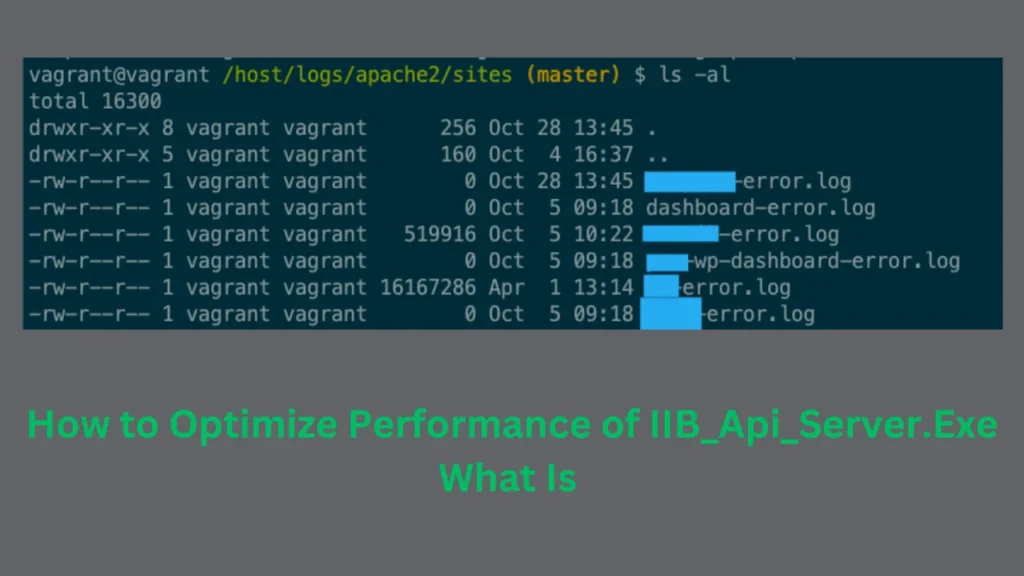 How to Optimize Performance of IIB_Api_Server.Exe What Is 