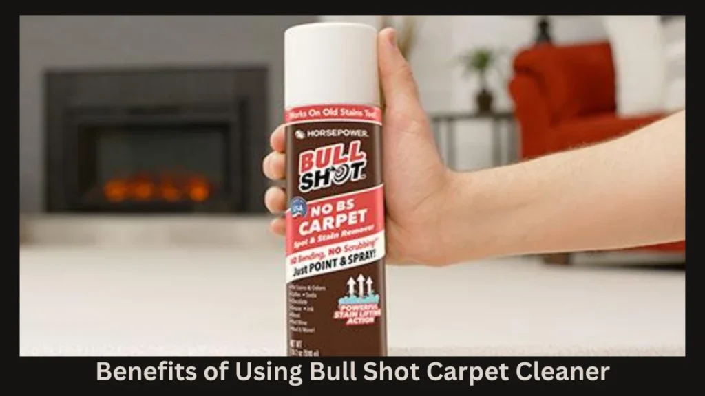 Benefits of Using Bull Shot Carpet Cleaner
