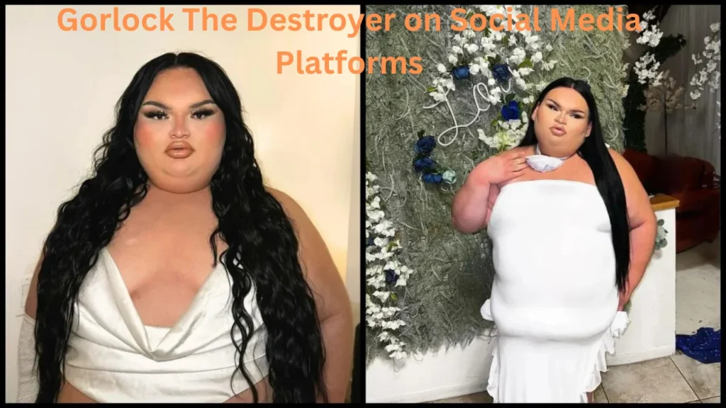 Gorlock The Destroyer Meme Culture And Online Communities Study Heal